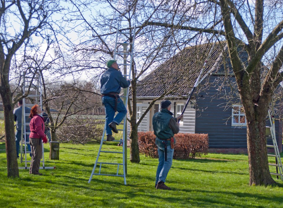 Aftrap snoeiseizoen